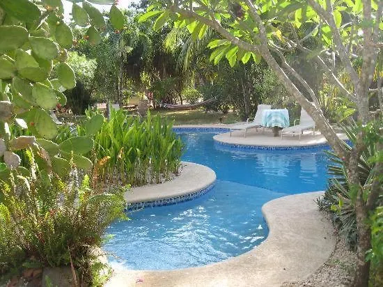 Bula Bula